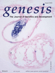 genesis