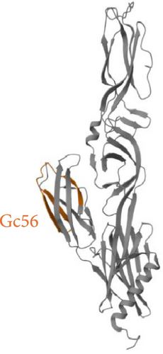Details are in the caption following the image