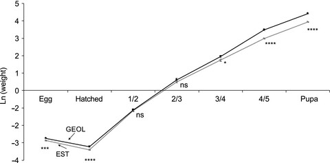 How to become larger: ontogenetic basis of among-population size differences in a moth