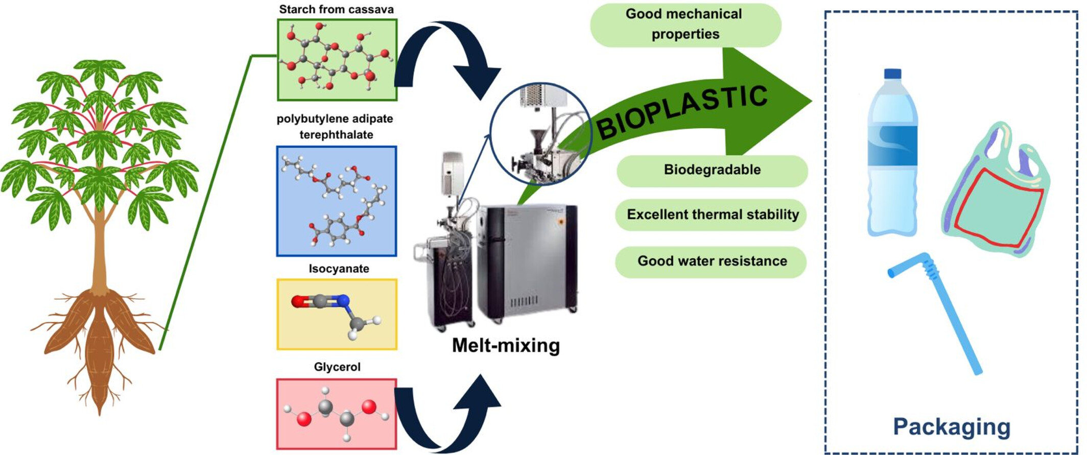 The Role of Methylene Diphenyl Diisocyanate in the Melt Blending of Poly(Butylene Adipate-co-Terephthalate) and Thermoplastic Starch