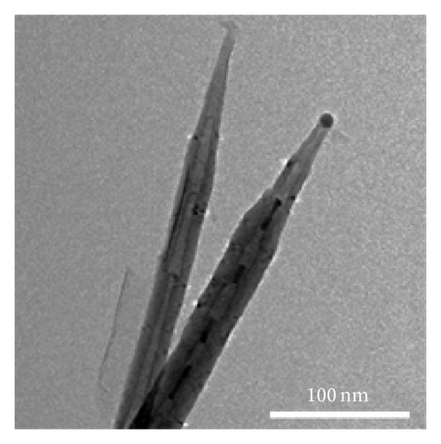 Details are in the caption following the image