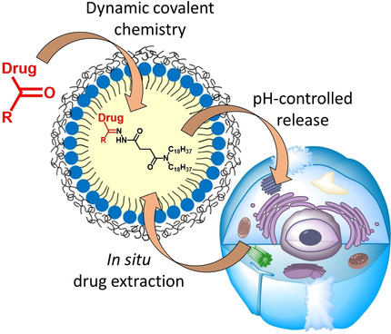 Drug-Sponge Lipid Nanocarrier for in Situ Cargo Loading and Release Using Dynamic Covalent Chemistry