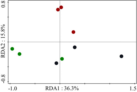Mixed plantations of Metasequoia glyptostroboides and Bischofia polycarpa change soil fungal and archaeal communities and enhance soil phosphorus availability in Shanghai, China