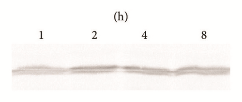 Details are in the caption following the image