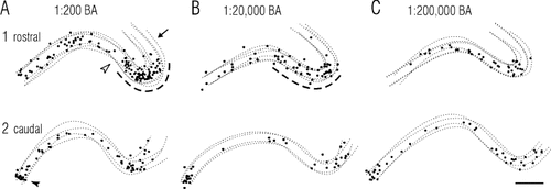 Details are in the caption following the image Details are in the caption following the image