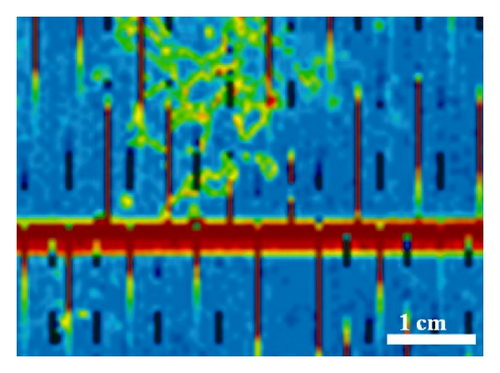 Details are in the caption following the image Details are in the caption following the image