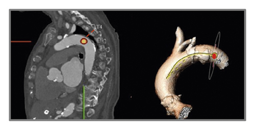 Details are in the caption following the image Details are in the caption following the image