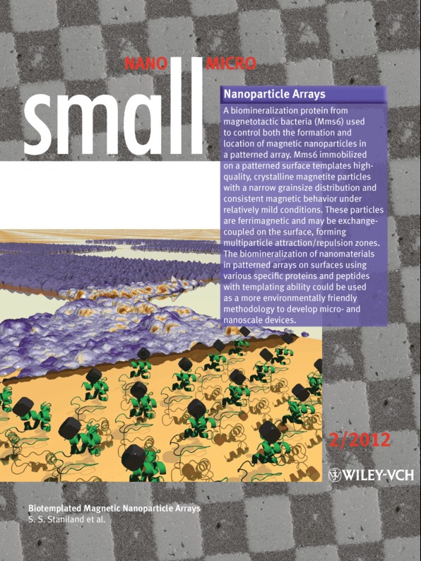 Nanoparticle Arrays: Biotemplated Magnetic Nanoparticle Arrays (Small 2/2012)