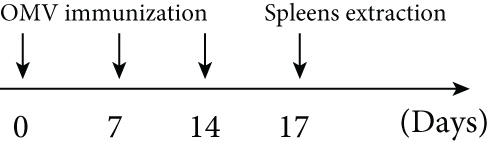Details are in the caption following the image