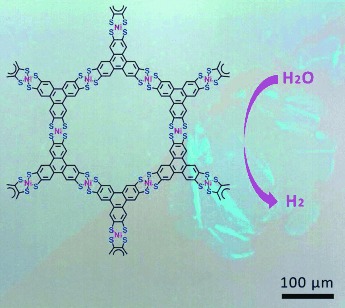 Large-Area, Free-Standing, Two-Dimensional Supramolecular Polymer Single-Layer Sheets for Highly Efficient Electrocatalytic Hydrogen Evolution