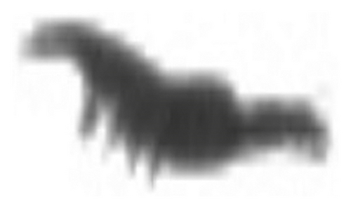 Details are in the caption following the image