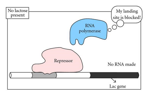 Details are in the caption following the image