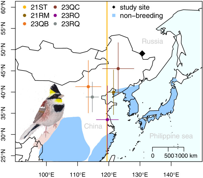 Habitat use, survival, and migration of a little-known East Asian endemic, the yellow-throated bunting Emberiza elegans