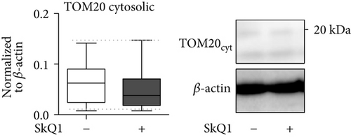 Details are in the caption following the image
