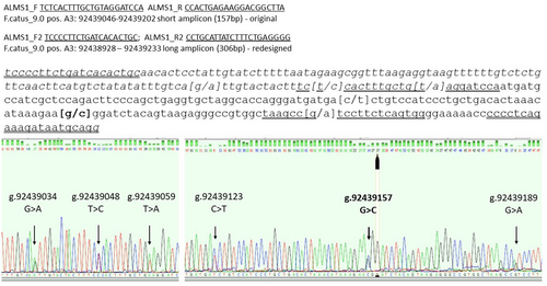 Details are in the caption following the image Details are in the caption following the image