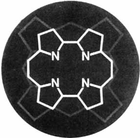 Cover Picture (Angew. Chem. Int. Ed. Engl. 3/1986)