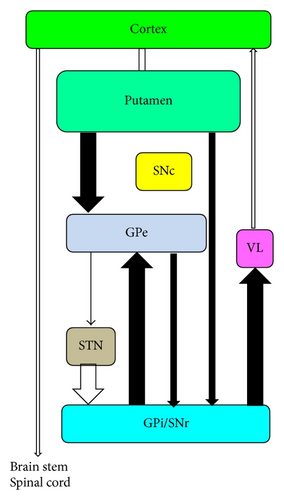 Details are in the caption following the image Details are in the caption following the image