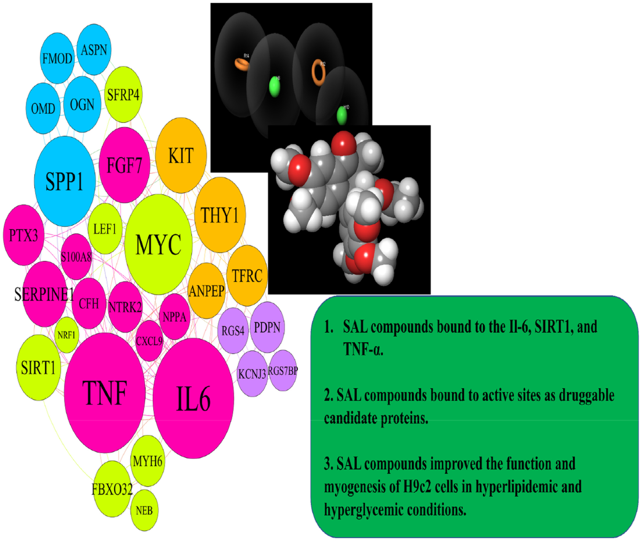 Natural remedies medicine derived from flaxseed (secoisolariciresinol diglucoside, lignans, and α-linolenic acid) improve network targeting efficiency of diabetic heart conditions based on computational chemistry techniques and pharmacophore modeling