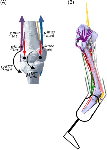 Details are in the caption following the image
