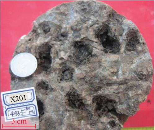 Details are in the caption following the image Details are in the caption following the image