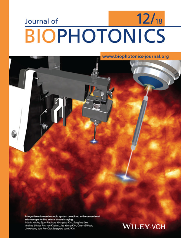 Front Cover: Integrative microendoscopic system combined with conventional microscope for live animal tissue imaging (J. Biophotonics 12/2018)