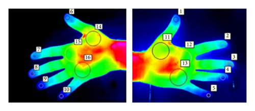 Details are in the caption following the image Details are in the caption following the image