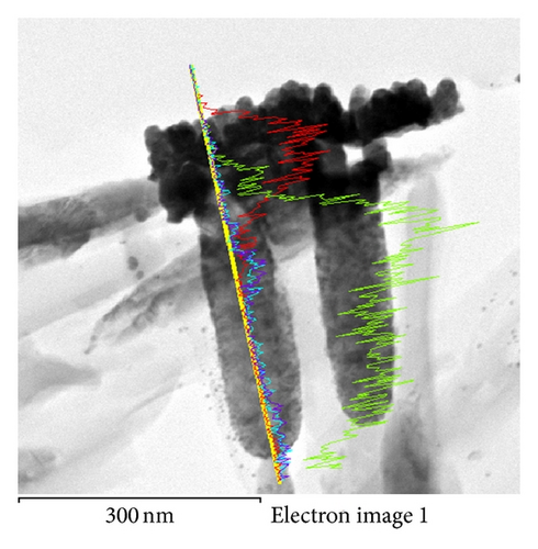 Details are in the caption following the image