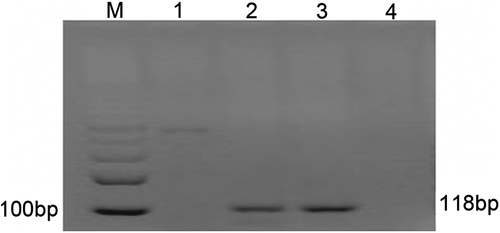 Details are in the caption following the image