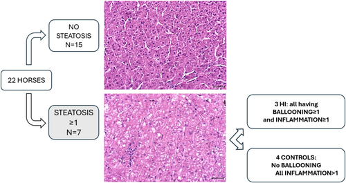 Details are in the caption following the image Details are in the caption following the image