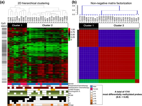 Prognostic significance of CpG island methylator phenotype in surgically resected small cell lung carcinoma