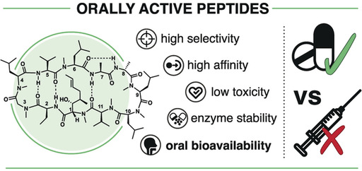 Orally Active Peptides: Is There a Magic Bullet?
