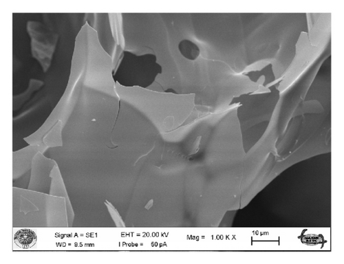 Details are in the caption following the image