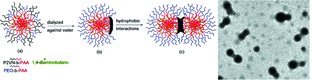 Facile Preparation of Polymeric Dimers from Amphiphilic Patchy Particles