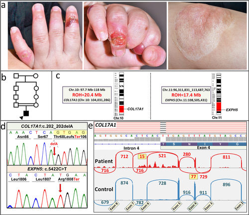 Details are in the caption following the image Details are in the caption following the image