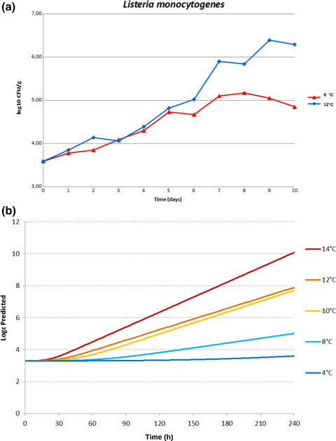 Challenge test studies on Listeria monocytogenes in ready-to-eat iceberg lettuce