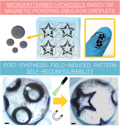 Dynamically Reconfigurable Micro-Patterned Hydrogels Based on Magnetic Pickering Emulsion Droplets