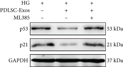 Details are in the caption following the image