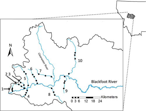 Details are in the caption following the image Details are in the caption following the image