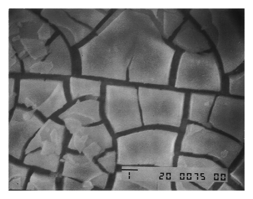 Details are in the caption following the image