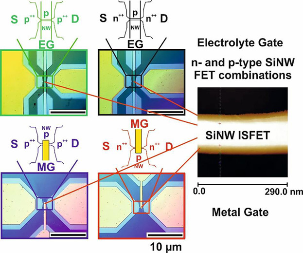 Wafer-Scale Nanoimprint Lithography Process Towards Complementary Silicon Nanowire Field-Effect Transistors for Biosensor Applications