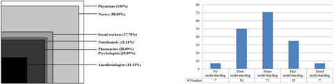 Development levels of pediatric palliative care teams and the extent of palliative care understanding and implementation among pediatric oncologists in China