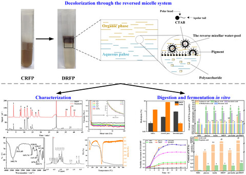 A preliminary study on preparation, characterization, and prebiotic activity of a polysaccharide from the edible mushroom Ramaria flava