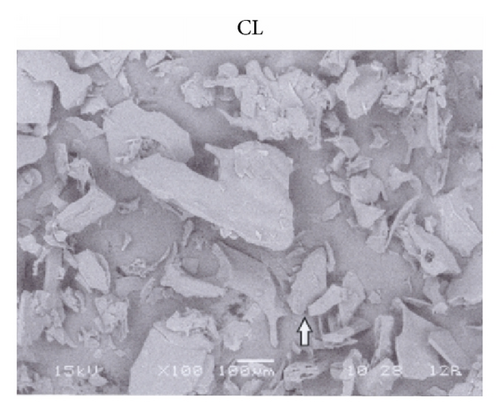 Details are in the caption following the image
