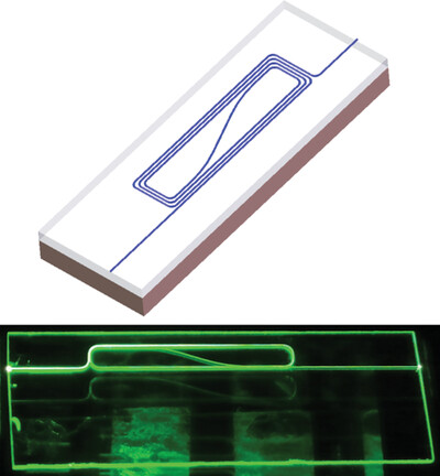 On-Chip Integrated Waveguide Amplifiers on Erbium-Doped Thin-Film Lithium Niobate on Insulator