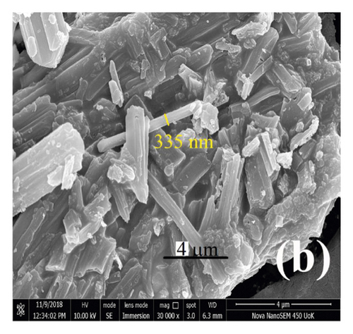 Details are in the caption following the image