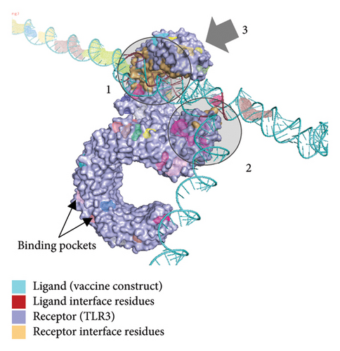 Details are in the caption following the image Details are in the caption following the image