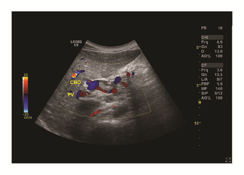 Details are in the caption following the image Details are in the caption following the image