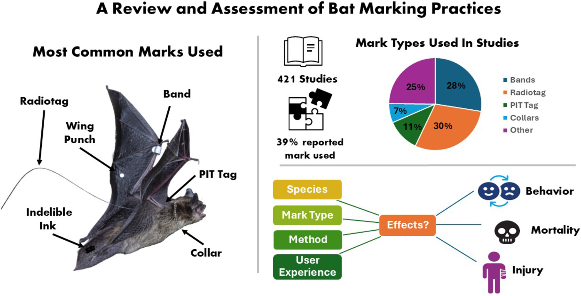 Question the Mark: A Review and Assessment of Bat Marking Practices Issue ,