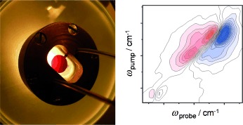 Gold Nanoparticle Capping Layers: Structure, Dynamics, and Surface Enhancement Measured Using 2D-IR Spectroscopy