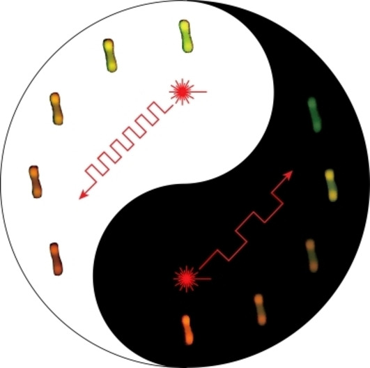 Modulating the Rise and Decay Dynamics of Upconversion Luminescence through Controlling Excitations